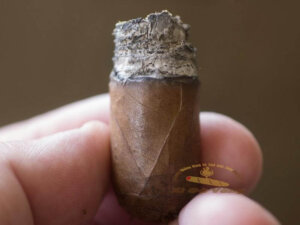 danh-gia-huong-vi-camacho-nicaragua-barrel-aged-toro Hương vị khiến người trải nghiệm mê đắm ngay từ ban đầu